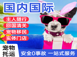 白塔航空快运国际宠物托运 【国